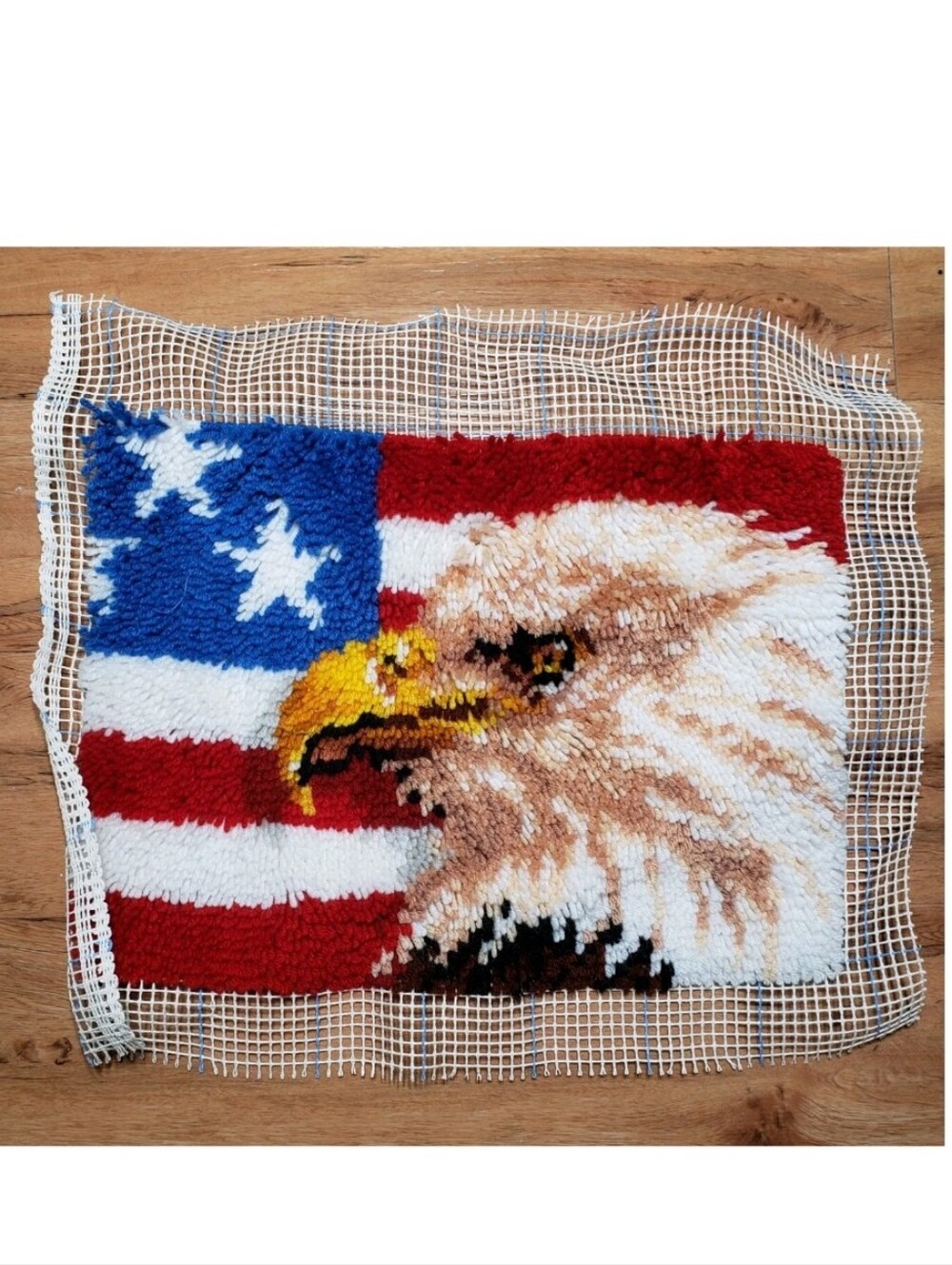 Eagle Flag Completed Latch Hook Rug